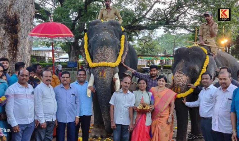ದಸರಾ ಅಂಬಾರಿ ಹೊರಲು ಗಜಪಡೆ ಸಜ್ಜು