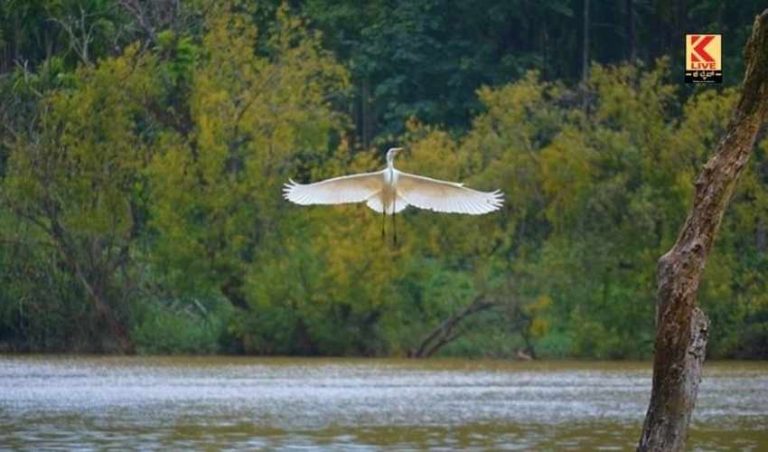 ಮಂಡಗದ್ದೆ  ಪಕ್ಷಿಧಾಮಕ್ಕೆ ಮರುಜೀವ
