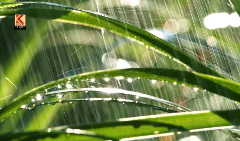 ಧಾರಾಕಾರ ಮಳೆ: ಚೆನ್ನೈ ಜಲಾವೃತ