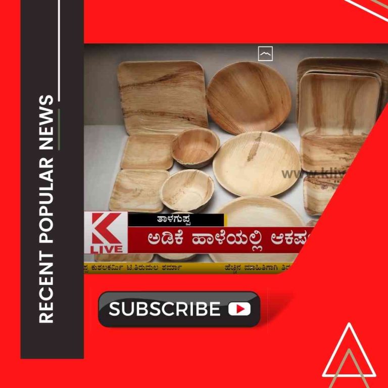 ಅಡಿಕೆ ಹಾಳೆಯಲ್ಲಿ ಆಕರ್ಷಕ ವಸ್ತುಗಳು