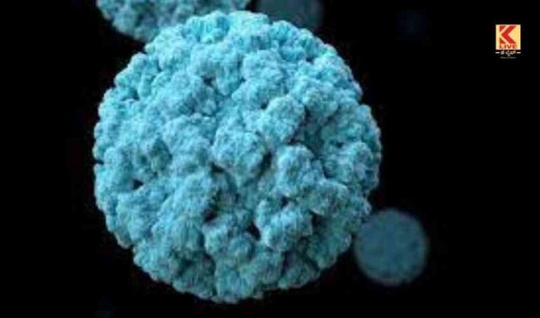 ಕೇರಳ ನೋರೋ ವೈರಸ್ ಭೀತಿ