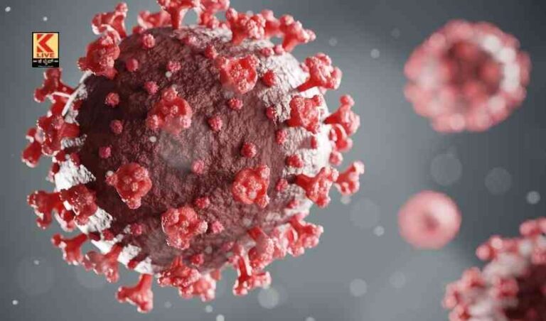 ಯುರೋಪ್- ಮಧ್ಯ ಏಷ್ಯಾ ಕೋವಿಡ್  ಗಂಭೀರತೆ