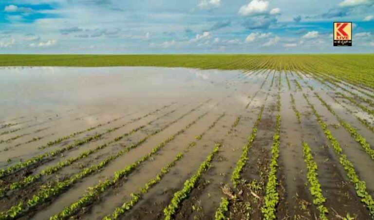 ಮಳೆಹಾನಿ ಪ್ರದೇಶಕ್ಕೆ ಡಿಸಿ ಗಳು ಭೇಟಿ ಮಾಡಬೇಕು- ಸಿ.ಎಂ