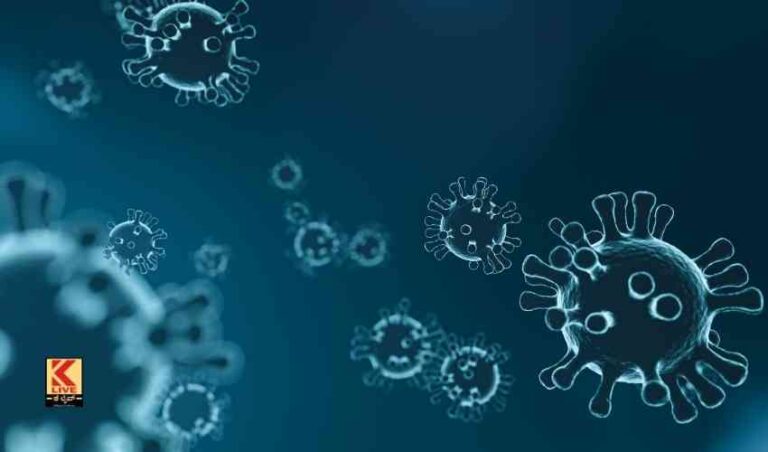 ಭಾರತದಲ್ಲಿ ಹೊಸ ವೈರಸ್ ಪತ್ತೆ!