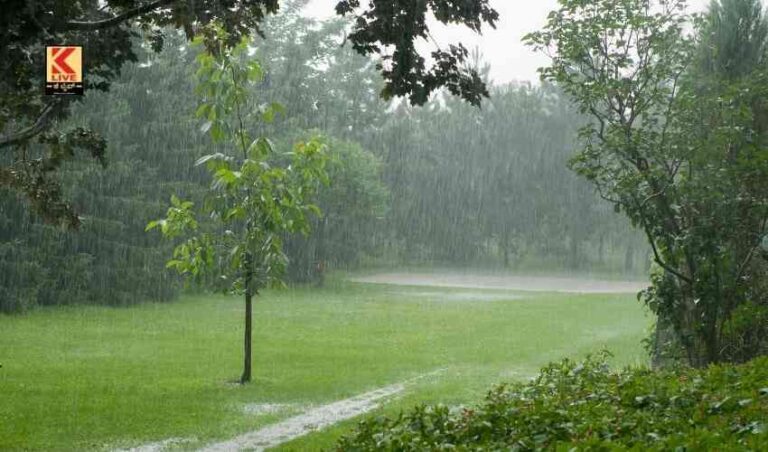 ರಾಜ್ಯದ ಹಲವು ಜಿಲ್ಲೆಯಲ್ಲಿ ಮಳೆಯ ಅವಾಂತರ