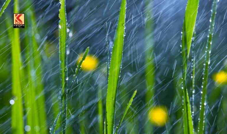 ತಮಿಳುನಾಡು; ವಕ್ಕರಿಸಿದ ವರುಣ