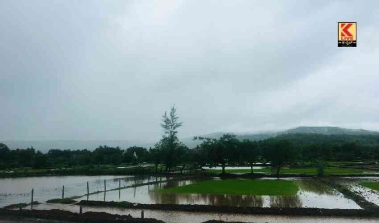 ವರುಣನ ಆರ್ಭಟ ಅಪಾರ ಬೆಳೆ ಹಾನಿ