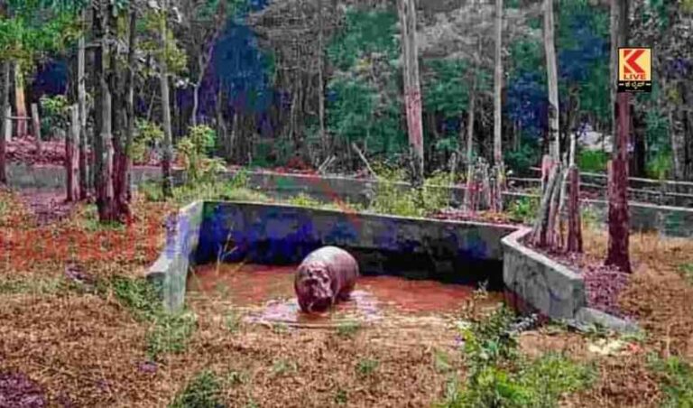 ಶಿವಮೊಗ್ಗ ಮೃಗಾಲಯಕ್ಕೆ ದಿವ,ಹೊಸ ಅತಿಥಿ