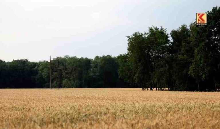 ಕಗ್ಗಂಟಾಗಿರುವ ಡೀಮ್ಡ್ ಲ್ಯಾಂಡ್.