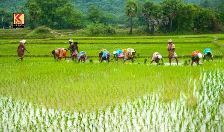 ಕೃಷಿ ಬೆಲೆ ಆಯೋಗ ಶಿಫಾರಸು