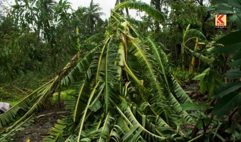 ಹವಾಮಾನ ವೈಪರೀತ್ಯ : ಚಂಡಮಾರುತಗಳ ಸೃಷ್ಟಿಗೆ ಕಾರಣ