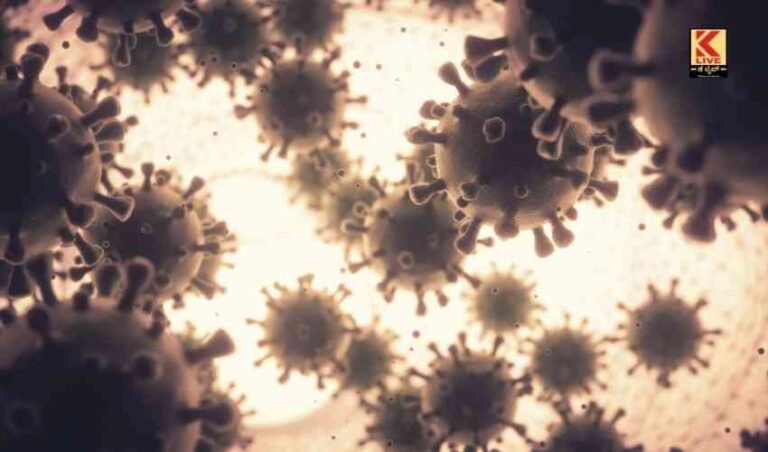 ರಾಜ್ಯದಲ್ಲಿ ಮತ್ತಷ್ಟು ಕೊರೋನ ಪತ್ತೆ