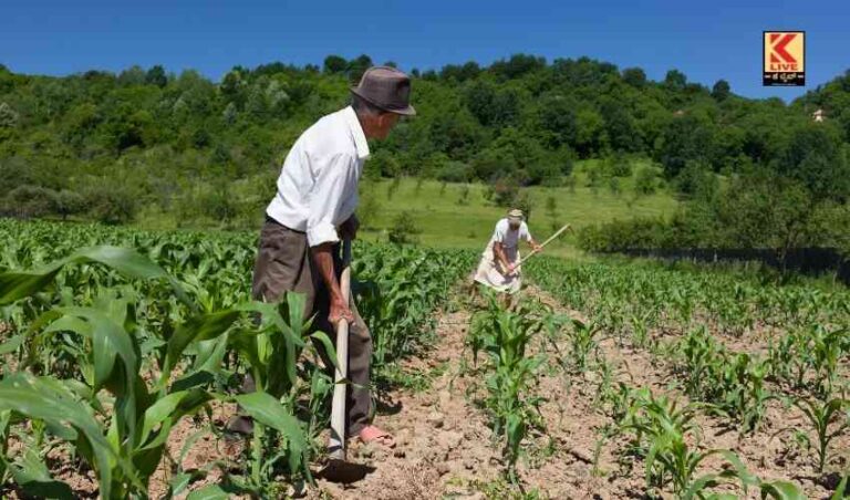 ತೀರ್ಥಹಳ್ಳಿ : ನರೇಗಾ ಹಣ ಬಾಕಿಯಿಂದ ಫಲಾನುಭವಿಗಳಿಗೆ ತೊಂದರೆ