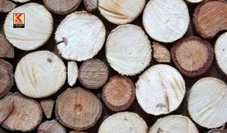 ಅಮೂಲ್ಯ  ರಕ್ತಚಂದನ ಕಳ್ಳಸಾಗಣೆ ಪ್ರಕರಣ ಪತ್ತೆ