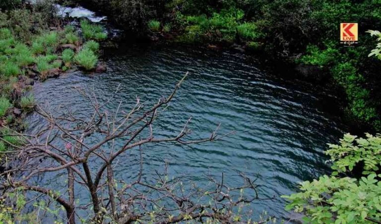 ಕೆರೆಗಳ ನಿರ್ವಹಣೆ ಆಗಬೇಕಿದೆ