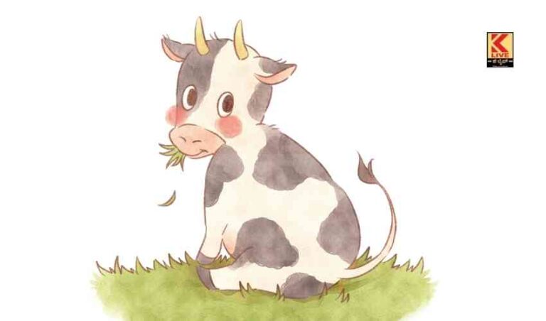 ಹಸುವಿನ ಹೊಟ್ಟೆಯಲ್ಲಿ ಚಿನ್ನದಸರ!