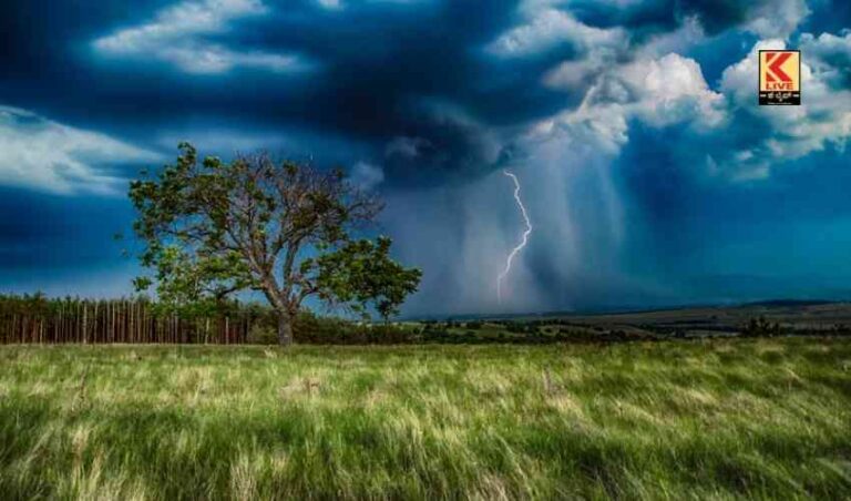ಬೆಳೆ ವಿಮೆ ನೀಡದ ಕಂಪನಿಗಳಿಗೆ ಎಚ್ಚರಿಕೆ.
