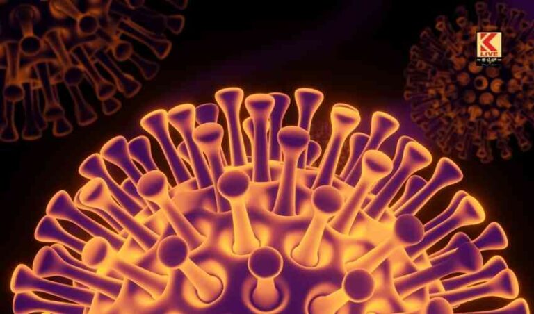 ಮತ್ತೆ ರಾಜ್ಯದಲ್ಲಿ ಓಮಿಕ್ರಾನ್ ಪತ್ತೆ.