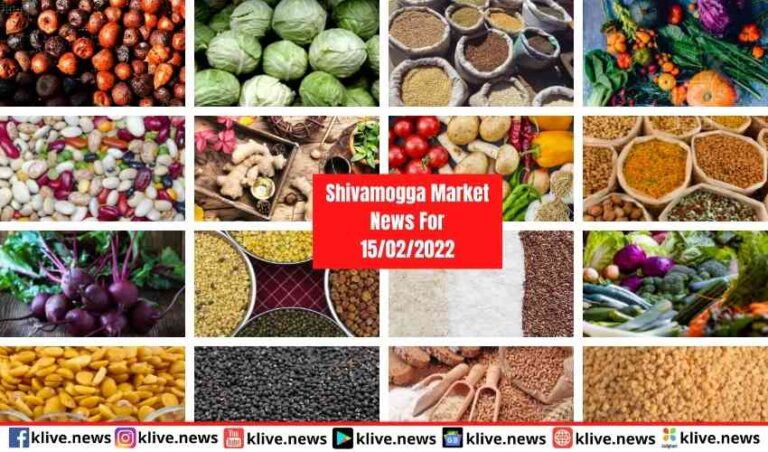 Shivamogga Market News For 16/02/2022