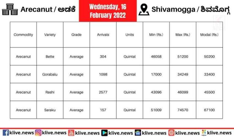 Arecanut prices in Shivamogga
