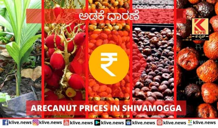 Arecanut prices in Shivamogga