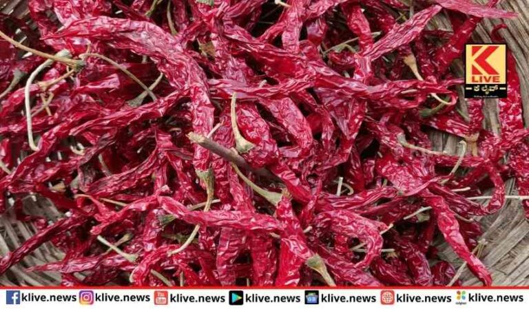 ಬ್ಯಾಡಗಿ ಮಾರುಕಟ್ಟೆ ಖಾರದ ಬೆಳೆಗೆ ಬೆಲೆಯೇರಿಕೆ ಸಿಹಿ