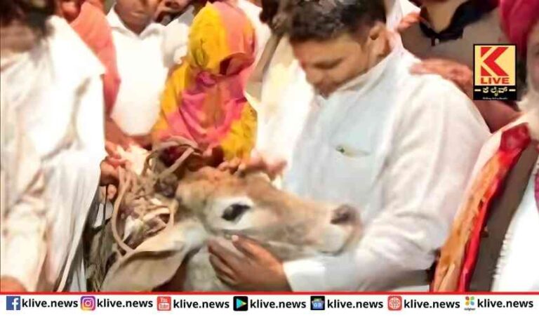 ಮದುವೆಯಲ್ಲಿ ಗೋವಿನ ಉಡುಗೊರೆ