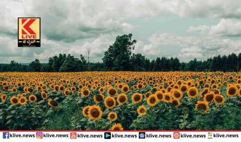 ಉಕ್ರೇನ್ -ರಷ್ಯಾ ಸಮರ ಖಾದ್ಯ ತೈಲದ ಬೆಲೆ ಏರಿಕೆ ಸಾಧ್ಯತೆ
