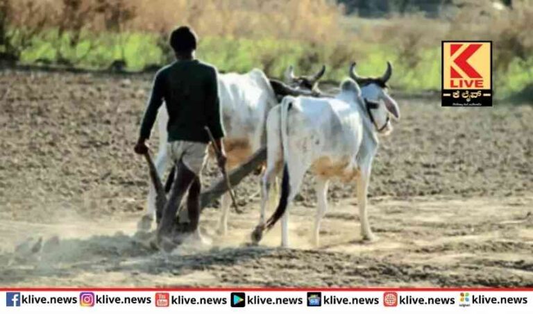 ರೈತರಿಗೆ ಪಹಣಿ ಜೊತೆ ಜಮೀನಿನ ಸ್ಕೆಚ್ ಲಭ್ಯ