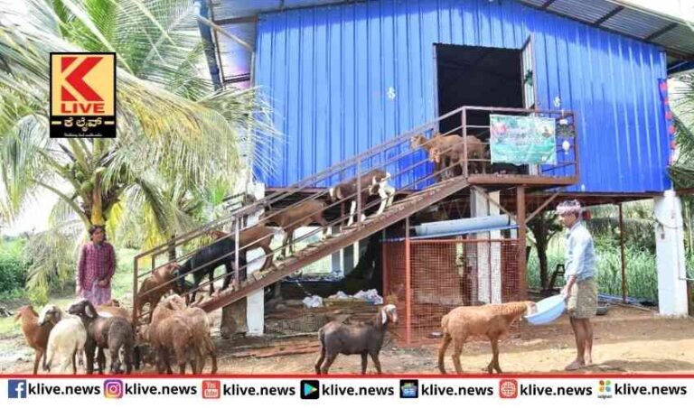 ಕುರಿ ಸಾಹುಕಾರ ಪ್ರದೀಪ್