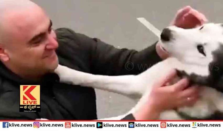 ಯುದ್ಧದ ಕಾರಣ ಬೇರ್ಪಟ್ಟಿದ್ದ ಶ್ವಾನ ಮತ್ತೆ ಮಾಲೀಕನಿಗೆ ಸಿಕ್ಕಾಗ…