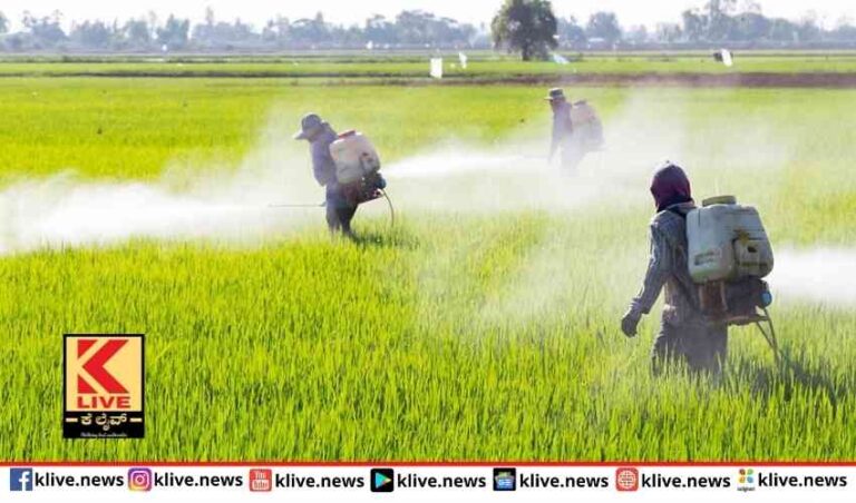 ರಸಗೊಬ್ಬರ ಬೆಲೆಯೇರಿಕೆ  ಕೃಷಿಕರಿಗೆ  ಶಾಕ್