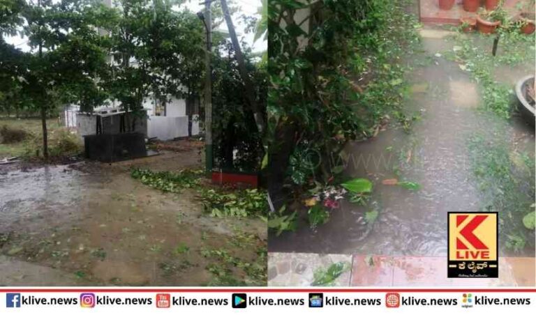 ಬೇಸಿಗೆಯಲ್ಲಿ ಆಲಿಕಲ್ಲು ಸುರಿಸಿದ ಮಳೆರಾಯ