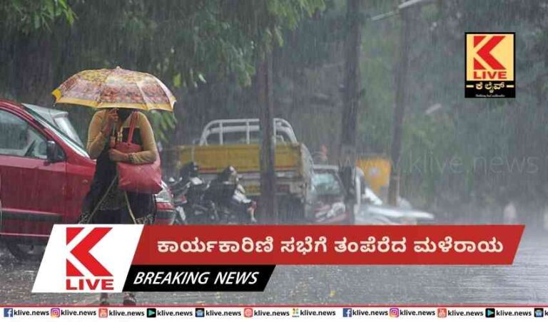 ಕಾರ್ಯಕಾರಿಣಿ ಸಭೆಗೆ ತಂಪೆರೆದ ಮಳೆರಾಯ