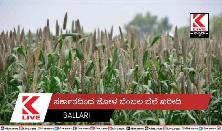 ಸರ್ಕಾರದಿಂದ ಜೋಳ ಬೆಂಬಲ ಬೆಲೆ ಖರೀದಿ