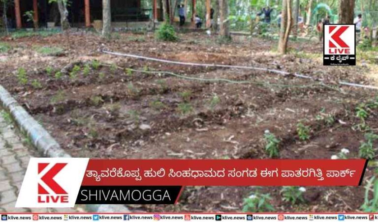 ತ್ಯಾವರೆಕೊಪ್ಪ ಹುಲಿ ಸಿಂಹಧಾಮದ ಸಂಗಡ ಈಗ ಪಾತರಗಿತ್ತಿ ಪಾರ್ಕ್