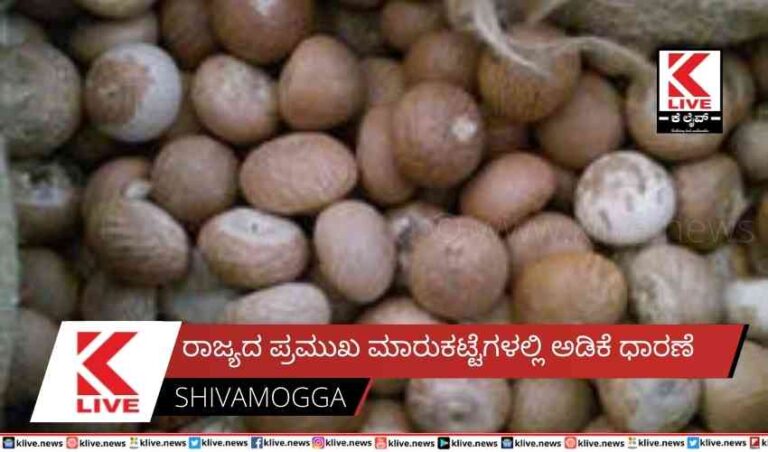 ರಾಜ್ಯದ ಪ್ರಮುಖ ಮಾರುಕಟ್ಟೆಗಳಲ್ಲಿಅಡಿಕೆ ಧಾರಣೆ