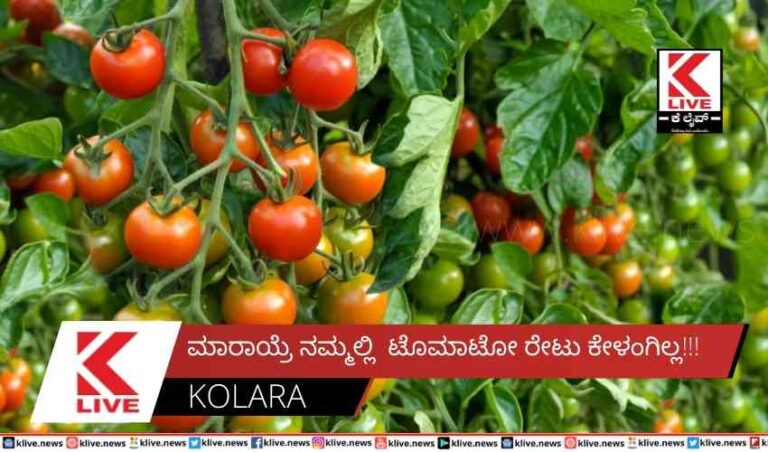 ಮಾರಾಯ್ರೆ ನಮ್ಮಲ್ಲಿ  ಟೊಮಾಟೋ ರೇಟು ಕೇಳಂಗಿಲ್ಲ!!!