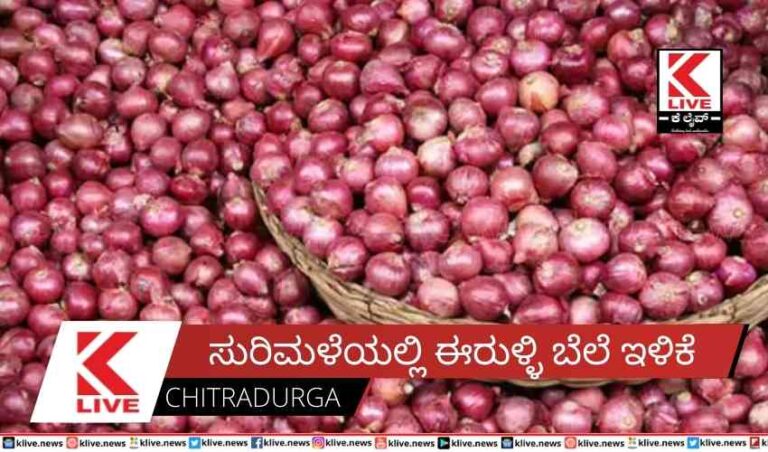 ಸುರಿಮಳೆಯಲ್ಲಿಈರುಳ್ಳಿ ಬೆಲೆ ಇಳಿಕೆ