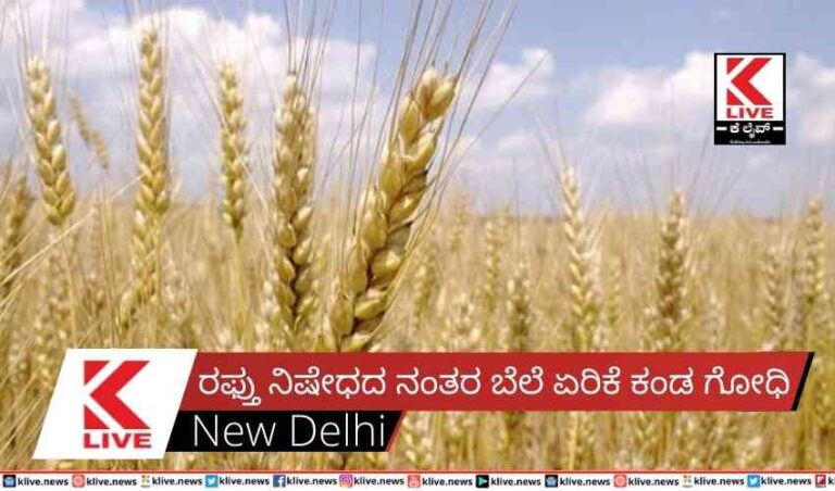 ರಫ್ತು ನಿಷೇಧದ ನಂತರ ಬೆಲೆ ಏರಿಕೆ ಕಂಡ ಗೋಧಿ