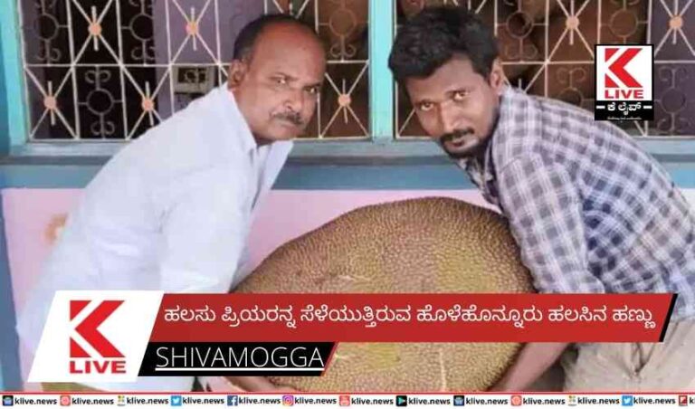 ಹಲಸು ಪ್ರಿಯರನ್ನ ಸೆಳೆಯುತ್ತಿರುವ ಹೊಳೆಹೊನ್ನೂರು ಹಲಸಿನ ಹಣ್ಣು