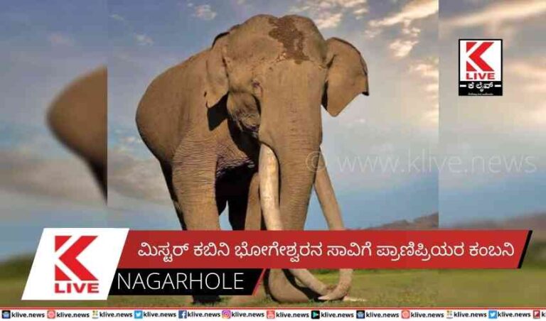 ಮಿಸ್ಟರ್ ಕಬಿನಿ  ಭೋಗೇಶ್ವರನ ಸಾವಿಗೆ ಪ್ರಾಣಿಪ್ರಿಯರ ಕಂಬನಿ