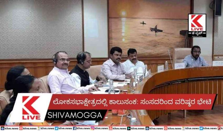 ಲೋಕಸಭಾಕ್ಷೇತ್ರದಲ್ಲಿ ಕಾಲುಸಂಕ: ಸಂಸದರಿಂದ ವರಿಷ್ಠರ ಭೇಟಿ