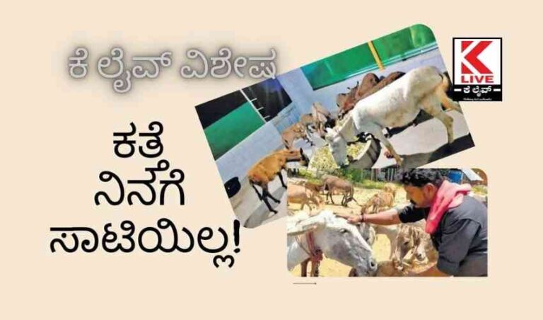 ಕತ್ತೆ ನಿನಗೆ ಸಾಟಿಯಿಲ್ಲ