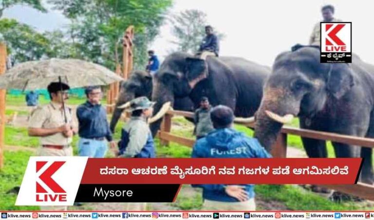 ದಸರಾ ಆಚರಣೆ  ಮೈಸೂರಿಗೆ ನವ ಗಜಗಳ ಪಡೆ ಆಗಮಿಸಲಿವೆ