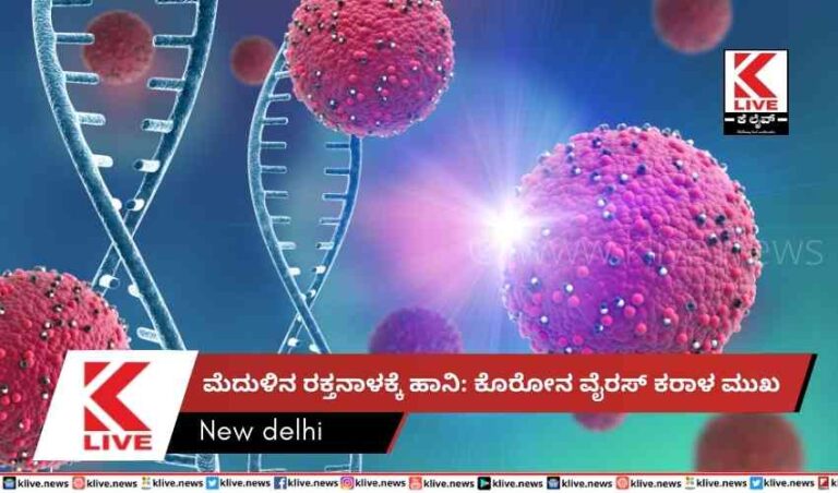 ಮೆದುಳಿನ ರಕ್ತನಾಳಕ್ಕೆ ಹಾನಿ: ಕೊರೋನ ವೈರಸ್ ಕರಾಳ ಮುಖ
