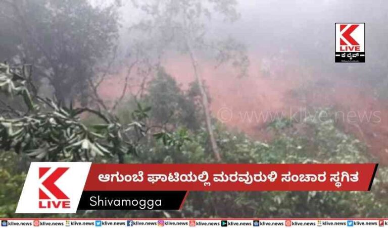 ಆಗುಂಬೆ ಘಾಟಿಯಲ್ಲಿ ಮರವುರುಳಿ ಸಂಚಾರ ಸ್ಥಗಿತ