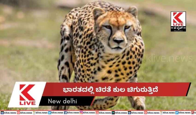 ಭಾರತದಲ್ಲಿ ಚಿರತೆ ಕುಲ ಚಿಗುರುತ್ತಿದೆ