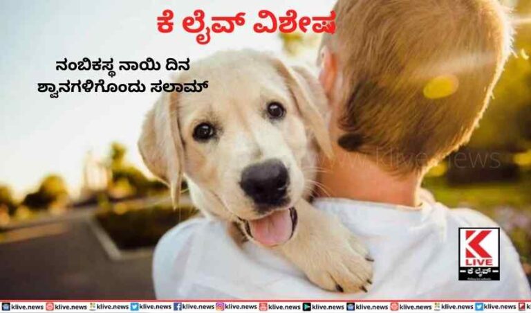 ನಂಬಿಕಸ್ಥನಾಯಿ ದಿನ ಶ್ವಾನಗಳಿಗೊಂದು ಸಲಾಮ್