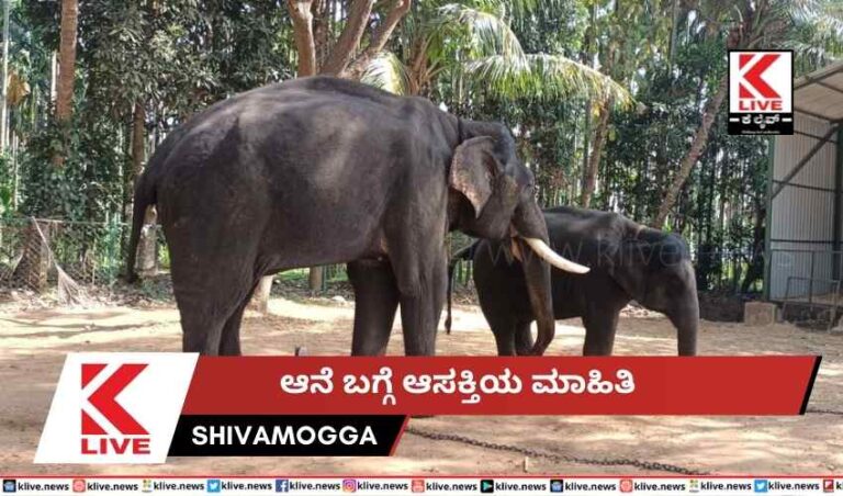 ಆನೆ ಬಗ್ಗೆ ಆಸಕ್ತಿಯ ಮಾಹಿತಿ